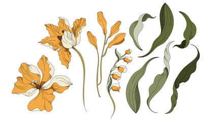 Flowers illustration set. Flowers and leaves collection