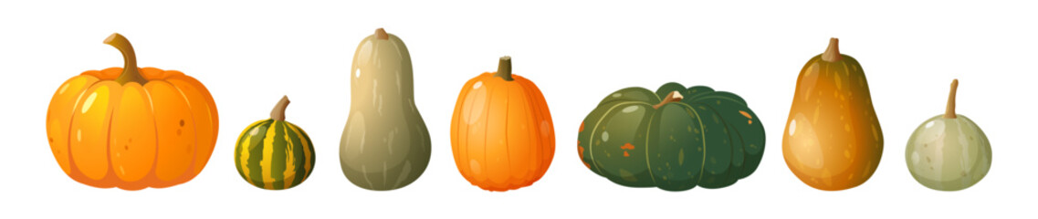 Organic natural pumpkin collection different types, forms and colors isolated on white background.	