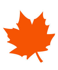 Leaf clip art design on plain white transparent isolated background for card, shirt, hoodie, sweatshirt, apparel, tag, mug, icon, poster or badge