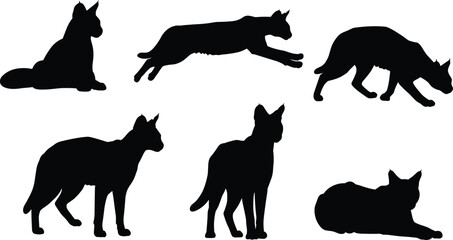 Cat silhouette vector illustration, domestic feline poses collection, sitting, walking, leaping, crouching, lying down design, pet animal artwork for stock content