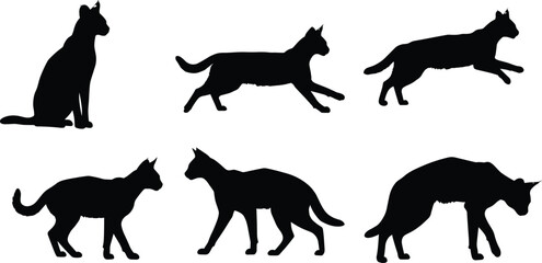 Cat silhouette vector illustration, domestic feline poses collection, sitting, walking, sniffing, standing pet animal design, wildlife artwork for stock content