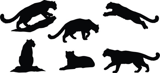 Panther silhouette collection, six wild animal poses, crouching, leaping, stalking, sitting, lying down, walking, wildlife predator vector, cad drawing flat vector illustration