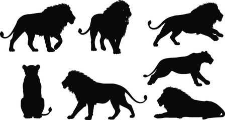 Lion silhouette collection, seven wild animal poses, standing, walking, running, sitting, lying down, wildlife predator vector, cad drawing flat vector illustration