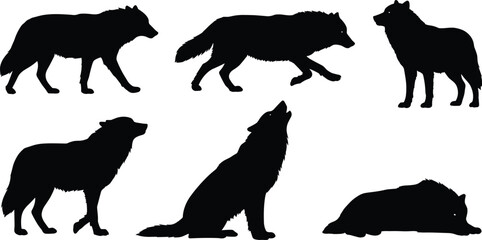 Wolf silhouette collection, six wild animal poses, standing, walking, sitting, lying down, howling, alert posture, wildlife predator vector, cad drawing flat vector illustration
