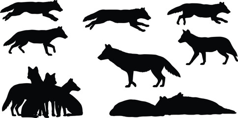 Wolf silhouette collection, eight wild animal poses, running, walking, leaping, standing, sitting, lying down, group posture, cad drawing flat vector illustration