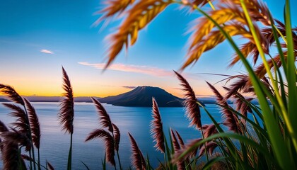 Kapiti Island's silhouette framed by flax, Wellington, New Zealand,  panoramic,  scenery