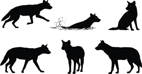 Wolf silhouette collection, six wild animal poses, walking, swimming, sitting, standing, relaxed posture, wildlife predator vector, cad drawing flat vector illustration