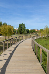 Fototapeta premium Wooden walkway in a green park surrounded by trees and vegetation under a clear blue sky.