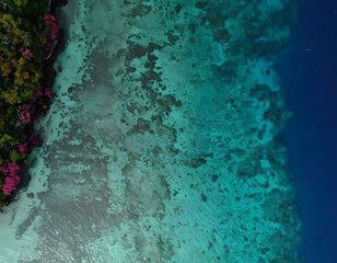 Aerial View of Crystal Clear Tropical Water and Vibrant Shoreline