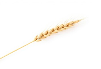 Single wheat straw, isolated on pure white background, ideal for design and construction projects, clean, vertical