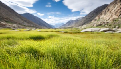 Lush green grass field stretches across a valley, framed by towering mountains under a bright sky.