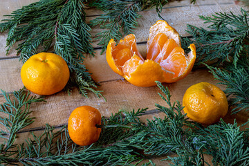Tangerines on wooden workbench, among cypress branches. Winter Christmas background
