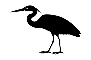 Heron with large fish