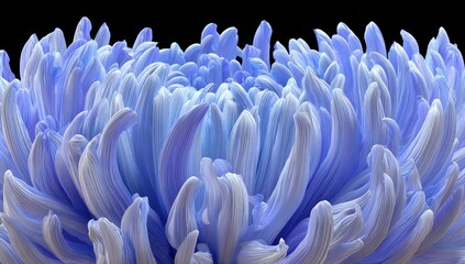 Detailed close-up of a vibrant, light-blue chrysanthemum blossom, showcasing intricate texture and delicate lines.