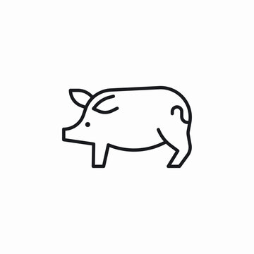 pig animal icon sign vector