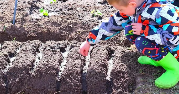 moscow, russia, 10.05.2025 moscow, russia, 10.05.2025 A man and two children are planting in a garden