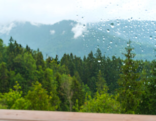 Rainy Day in Forest with Green Trees and Misty Mountains Background