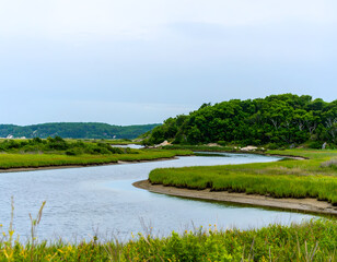 Fototapeta premium Serene Marsh Landscape with Gentle Curves and Lush Greenery