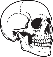 Isolated black human skull silhouette illustration with detailed bone structure and anatomical features