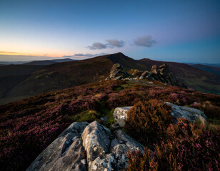 Serene Mountain Landscape at Dusk with Heather and Rocky Outcrops