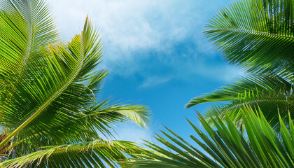Naklejka premium Leaves Of Palm Tree On Blue Sky Background