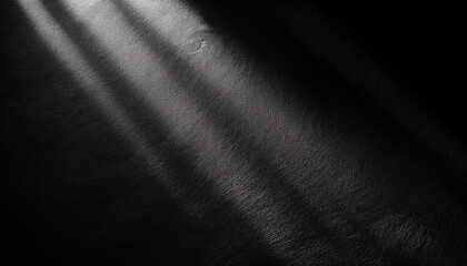 Fototapeta premium Black Texture Background And Shadows