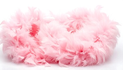 A fluffy pink feather boa against a white background