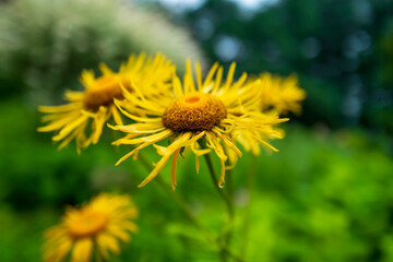 일본홋카이도여행