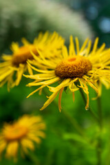 일본홋카이도여행