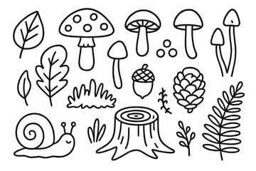 Fungi Forest Doodles. Hand-drawn doodle illustration Fungi collection, mushroom, toadstool, spore, cap, stem, gills, forest leaf, acorn, pine cone, snail,