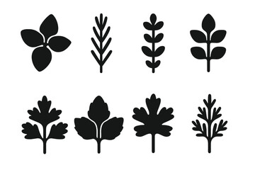 Naklejka premium Herb Icon Grid. Solid, filled icon set of common herbs: basil, rosemary, thyme, oregano, parsley, mint, cilantro, dill. Solid, filled icons in only black