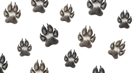 Collection of dark canine paw prints on a white background.