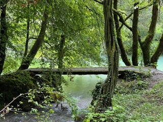 The source of the Ljubljanica river or the sources of the Ljubljanica, Slovenia - Die Quelle des...