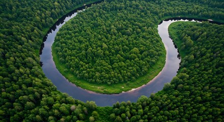 green grass in the garden