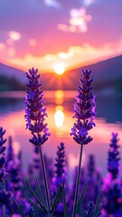 Two lavender stalks in vibrant purple bloom, sharply focused against a breathtaking sunset reflecting on calm water