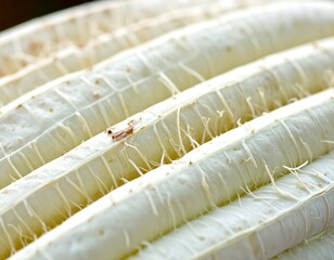 Close-up view of white fibrous plant parts