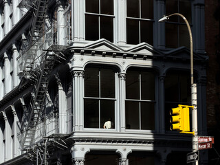 SoHo cast iron building architecture