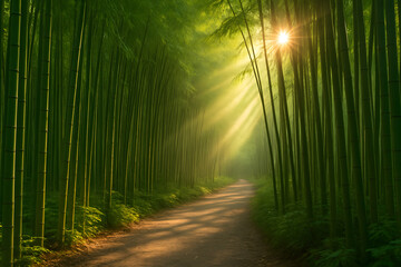 Naklejka premium Bamboo Forest Pathway with Sunlight Rays