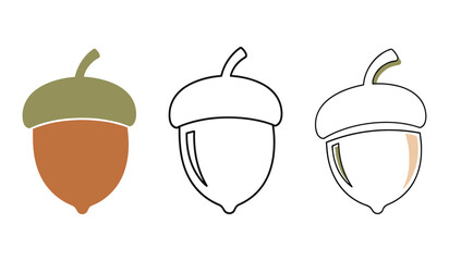 Three stylized acorns in different graphic styles on white background oak nut autumn