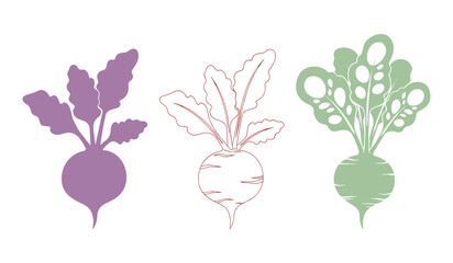 Three stylized beet vegetables with purple green and outline styles on white background beetroot root vegetable
