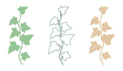 Three stylized ivy branches in green teal and beige on white background plant vine