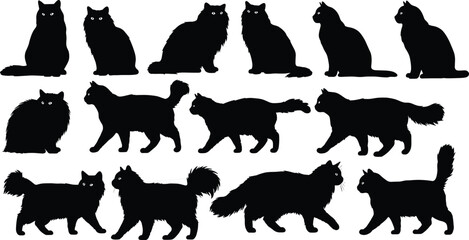 Black cat silhouettes collection, domestic feline vector illustration, fluffy kitten outline design, walking sitting cat shadow artwork, pet animal graphic set