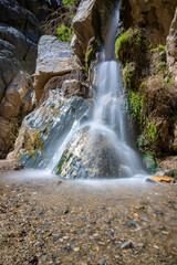 Fototapeta premium A long exposure of Darwin falls in Death Valley national park (inyo county).