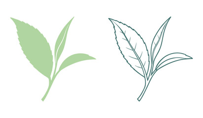 Two stylized tea leaves one solid green one outlined teal tea leaf green tea