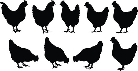 Chicken silhouette collection, hen vector illustration, poultry farming graphic, domestic bird design, agriculture livestock shape, countryside farm animal artwork © Creatives Sakib