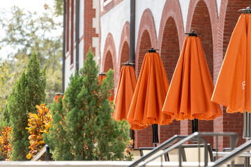 Multiple large summer nylon patio shade umbrellas, orange colored, closed with brown wooden...