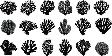 Coral silhouette illustration, marine life, sea coral, ocean reef, underwater plant, tropical design, black vector, aquatic nature, ecosystem, biodiversity