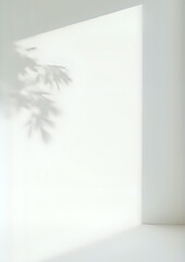 Minimal Sunlight Window Shadow with Indoor Plants