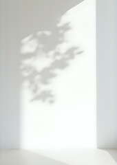 Minimal Sunlight Window Shadow with Indoor Plants