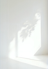 Minimal Sunlight Window Shadow with Indoor Plants